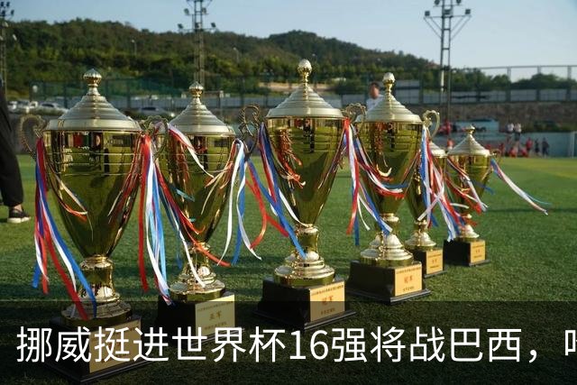挪威挺进世界杯16强将战巴西，哈兰德发声